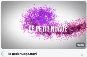 Capture d'écran 2024-12-13 171512