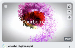 Capture d'écran 2024-12-13 171550