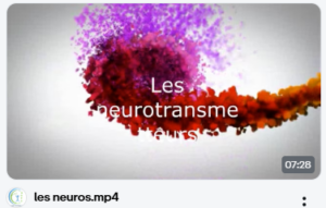 Capture d'écran 2024-12-13 171620